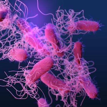 Drug-resistant-Typhoid